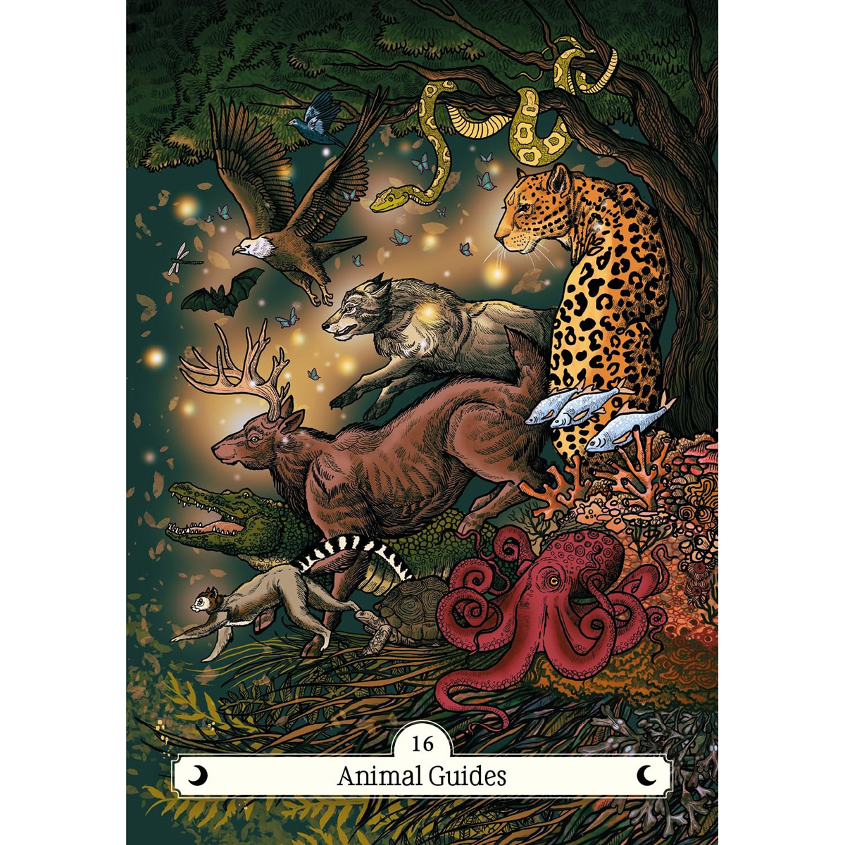 The Witch's Way Home Oracle by Emma Griffin