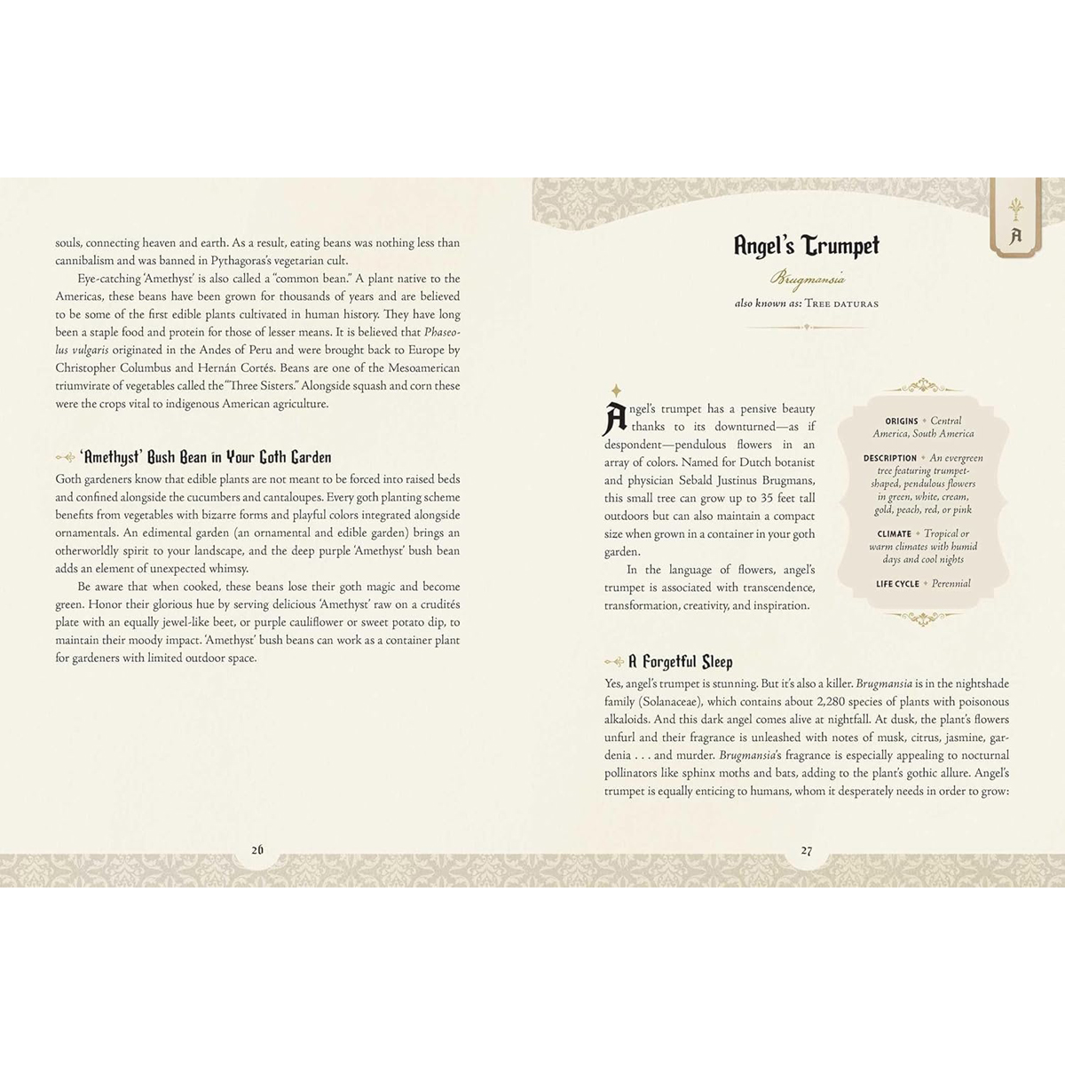 The Goth Garden by Felicia Feaster