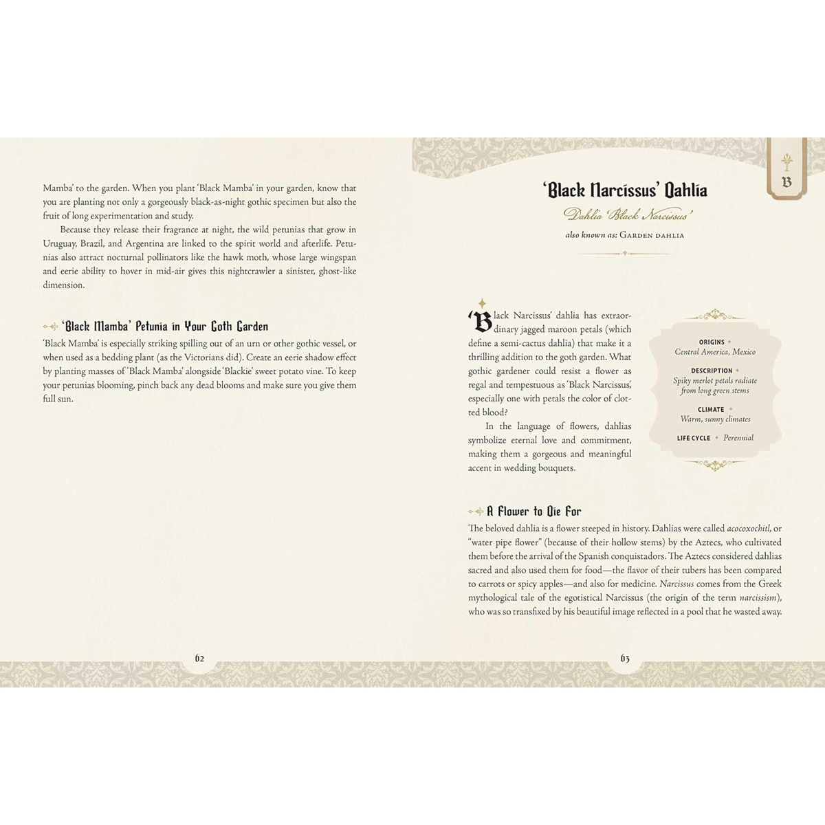 The Goth Garden by Felicia Feaster