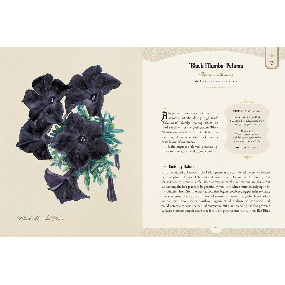 The Goth Garden by Felicia Feaster