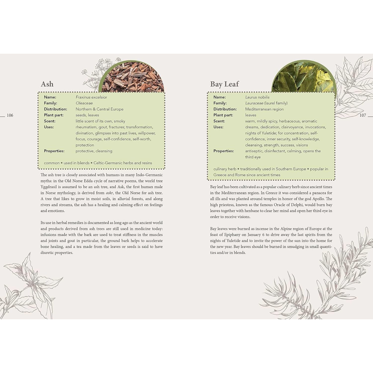 The Complete Smudging Handbook by Markus Schirner