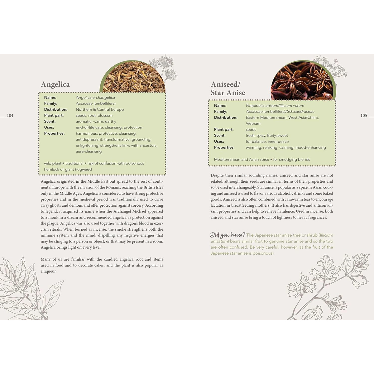 The Complete Smudging Handbook by Markus Schirner