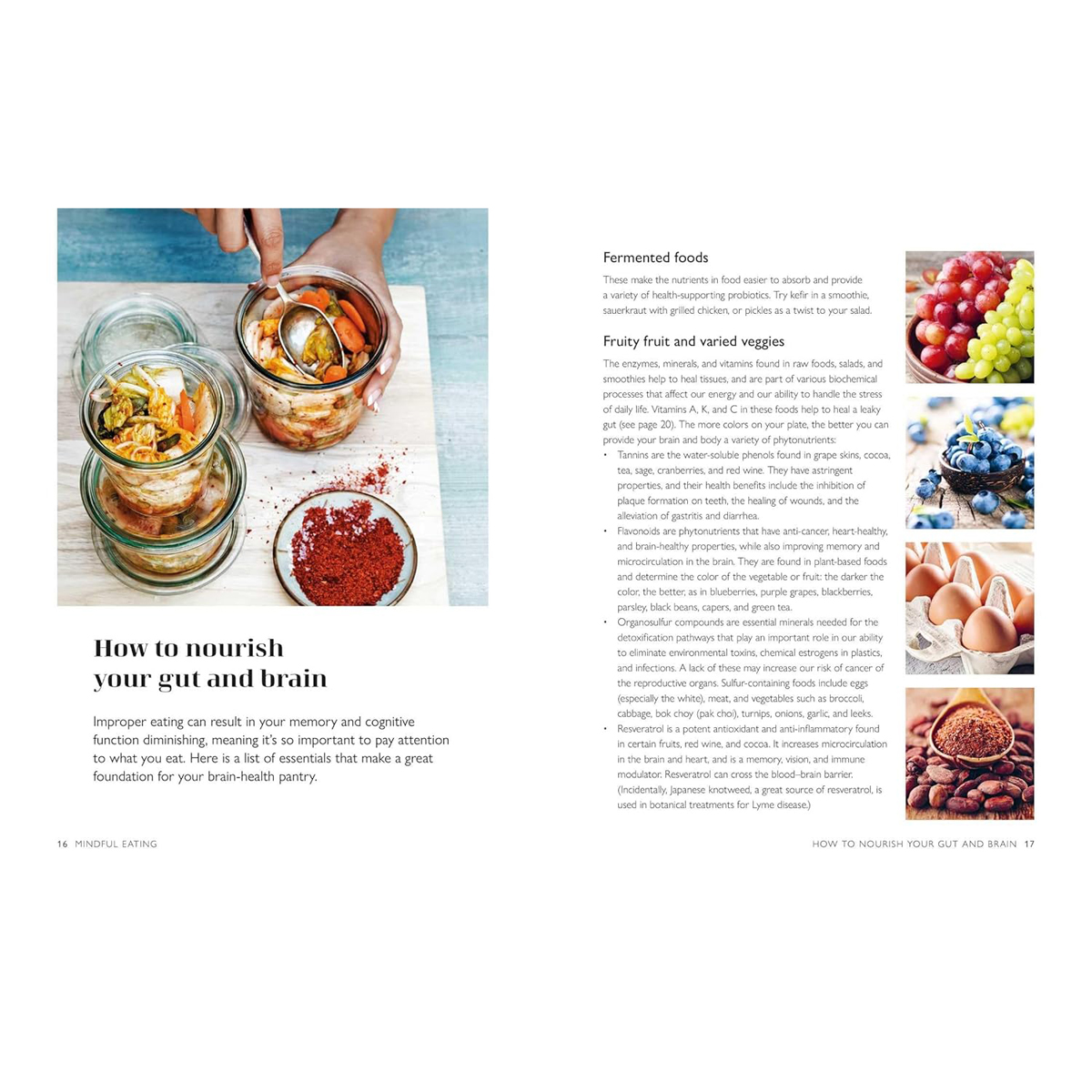 The Wellbeing Bible by CICO Books