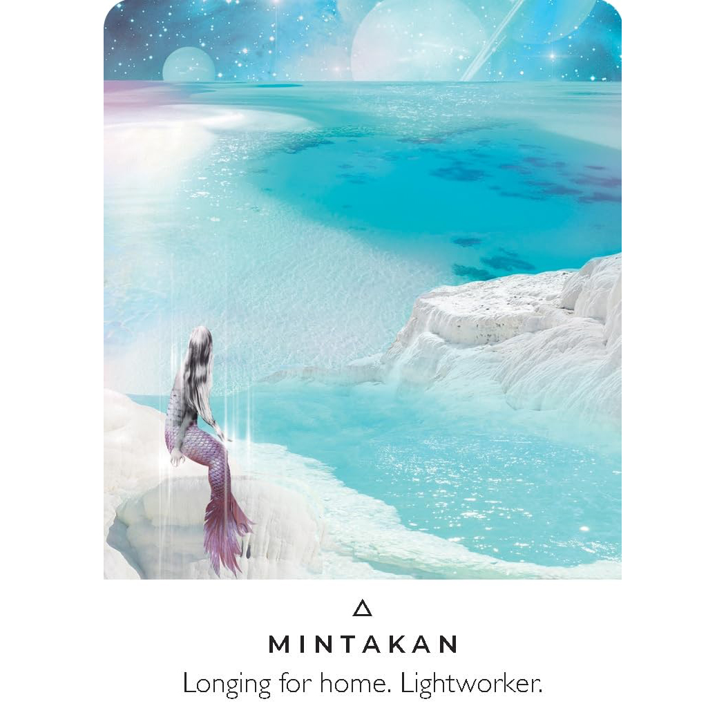 Work Your Light Oracle (Pocket Size) by Rebecca Campbell