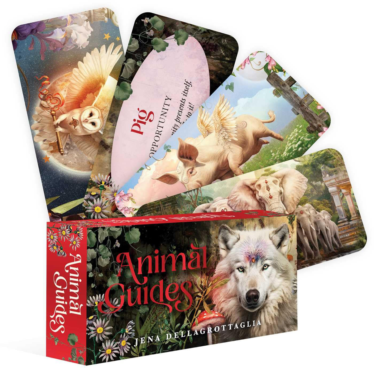 Animal Guides Mini Cards by Jena Dellagrottaglia