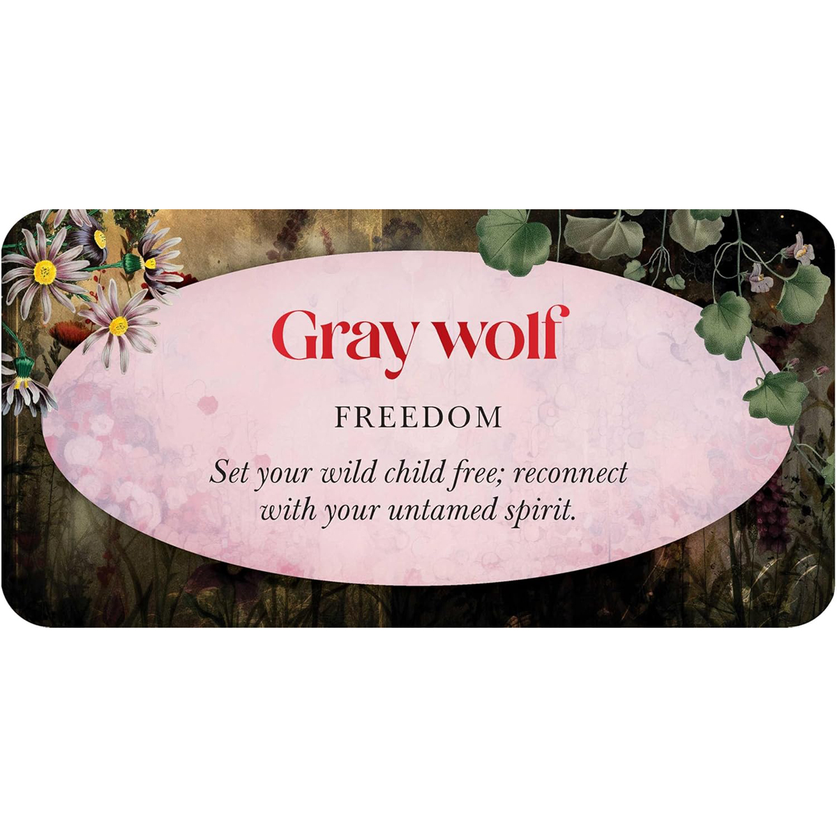 Animal Guides Mini Cards by Jena Dellagrottaglia
