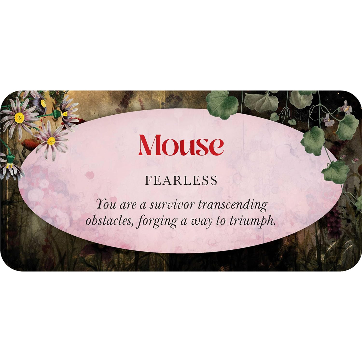 Animal Guides Mini Cards by Jena Dellagrottaglia