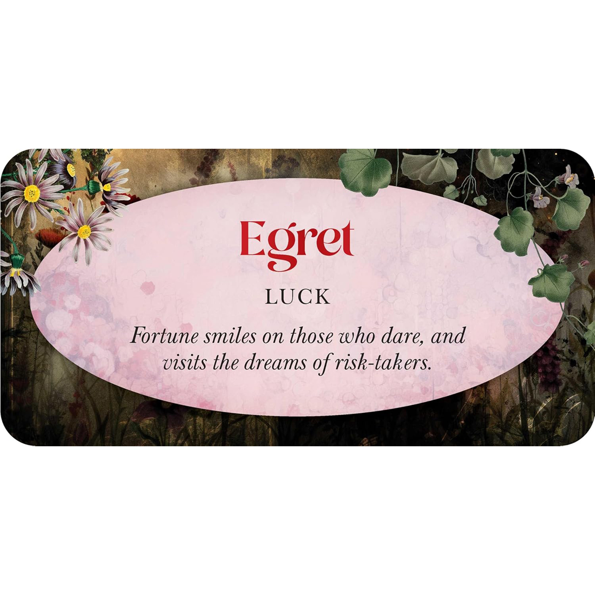 Animal Guides Mini Cards by Jena Dellagrottaglia