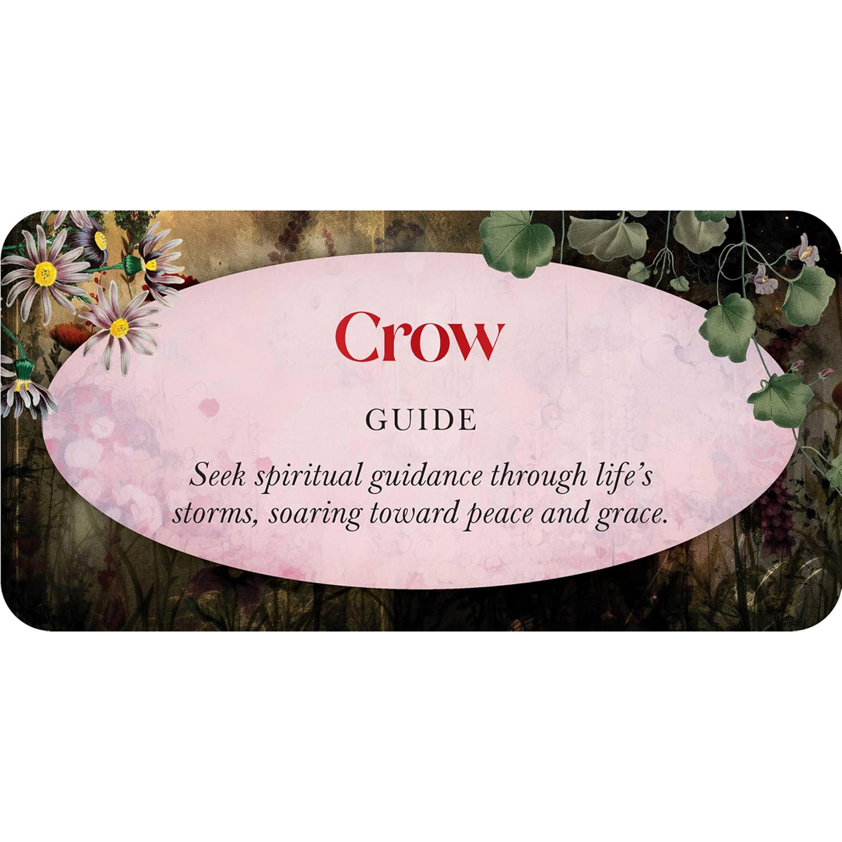 Animal Guides Mini Cards by Jena Dellagrottaglia
