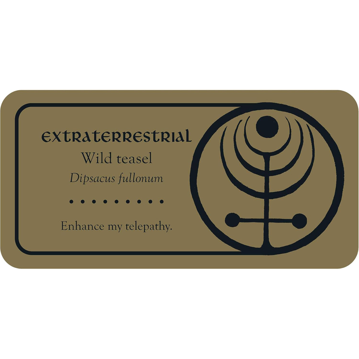 Medieval Herb Sigils Mini Cards by Priestess Moon