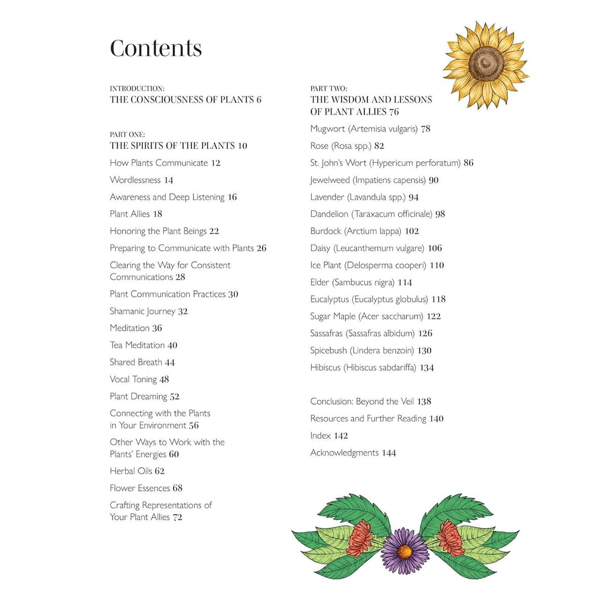 Plant Spirit Wisdom by Karine Gordineer