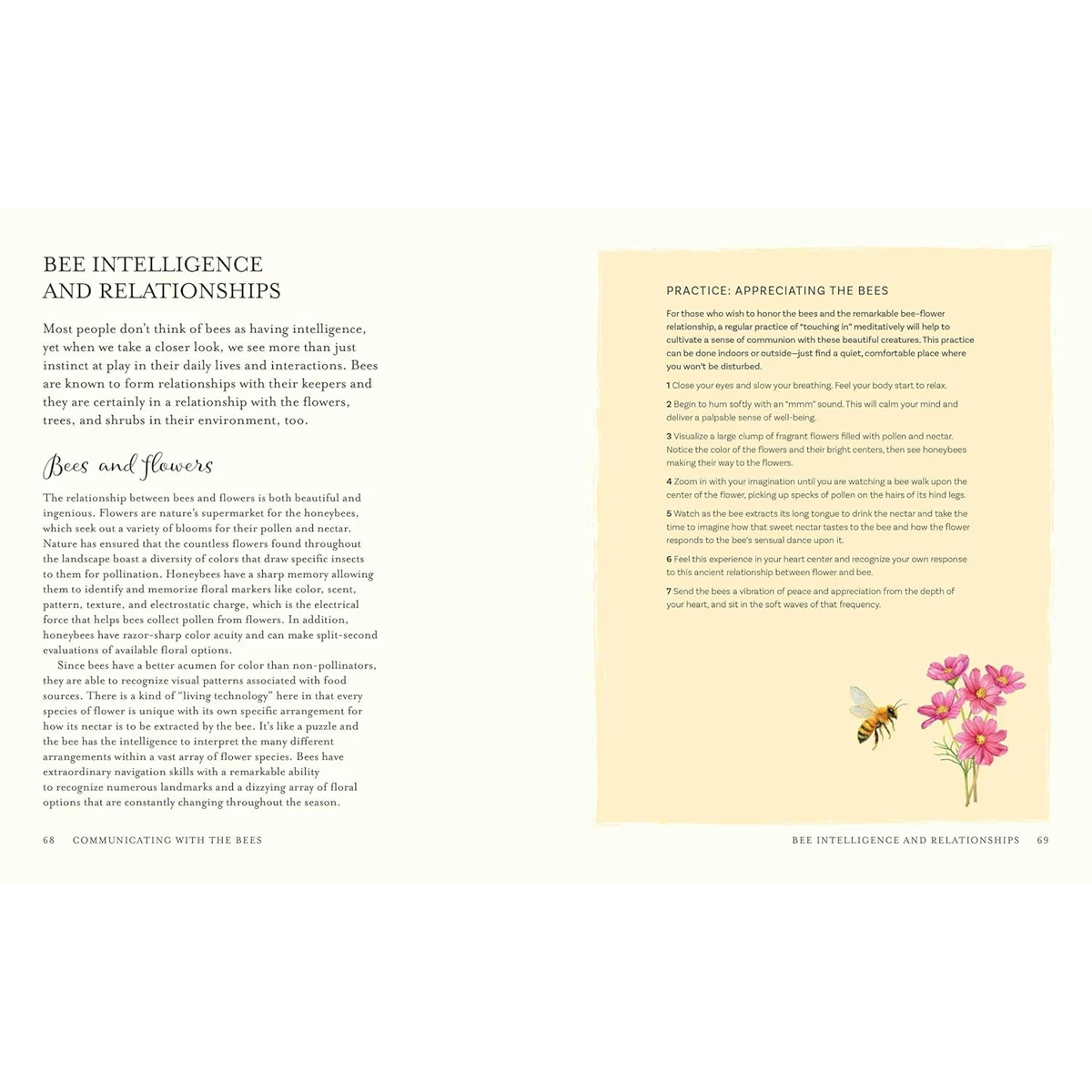 The Wisdom of Honeybees by Shonagh Home