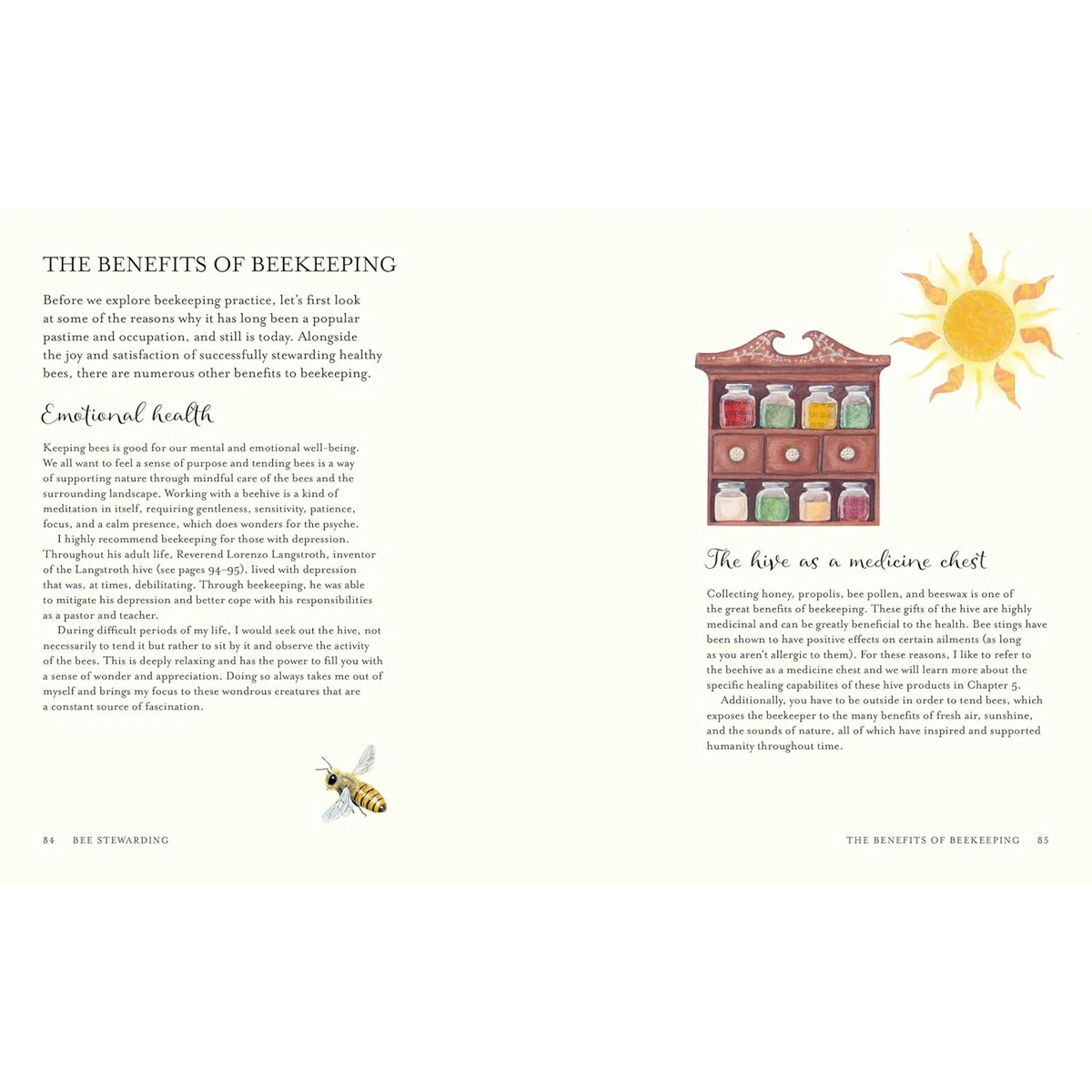 The Wisdom of Honeybees by Shonagh Home
