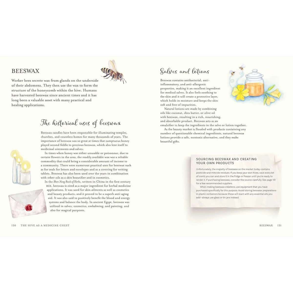 The Wisdom of Honeybees by Shonagh Home