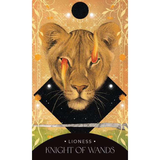 The Symbolic Tarot by Suki Ferguson