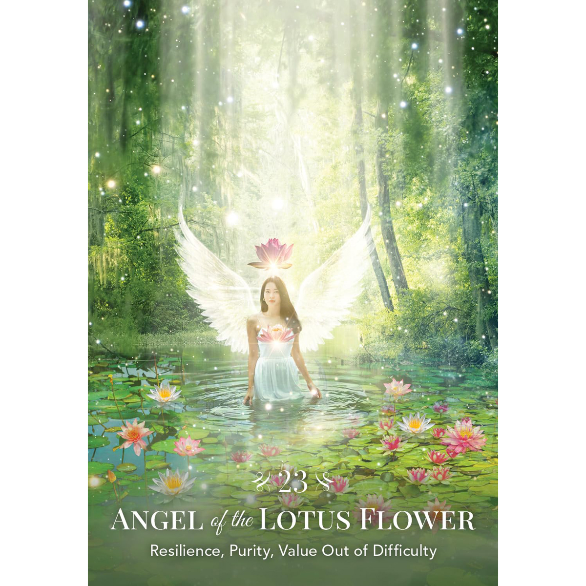 Angels of Nature Oracle by Sandra Anne Taylor