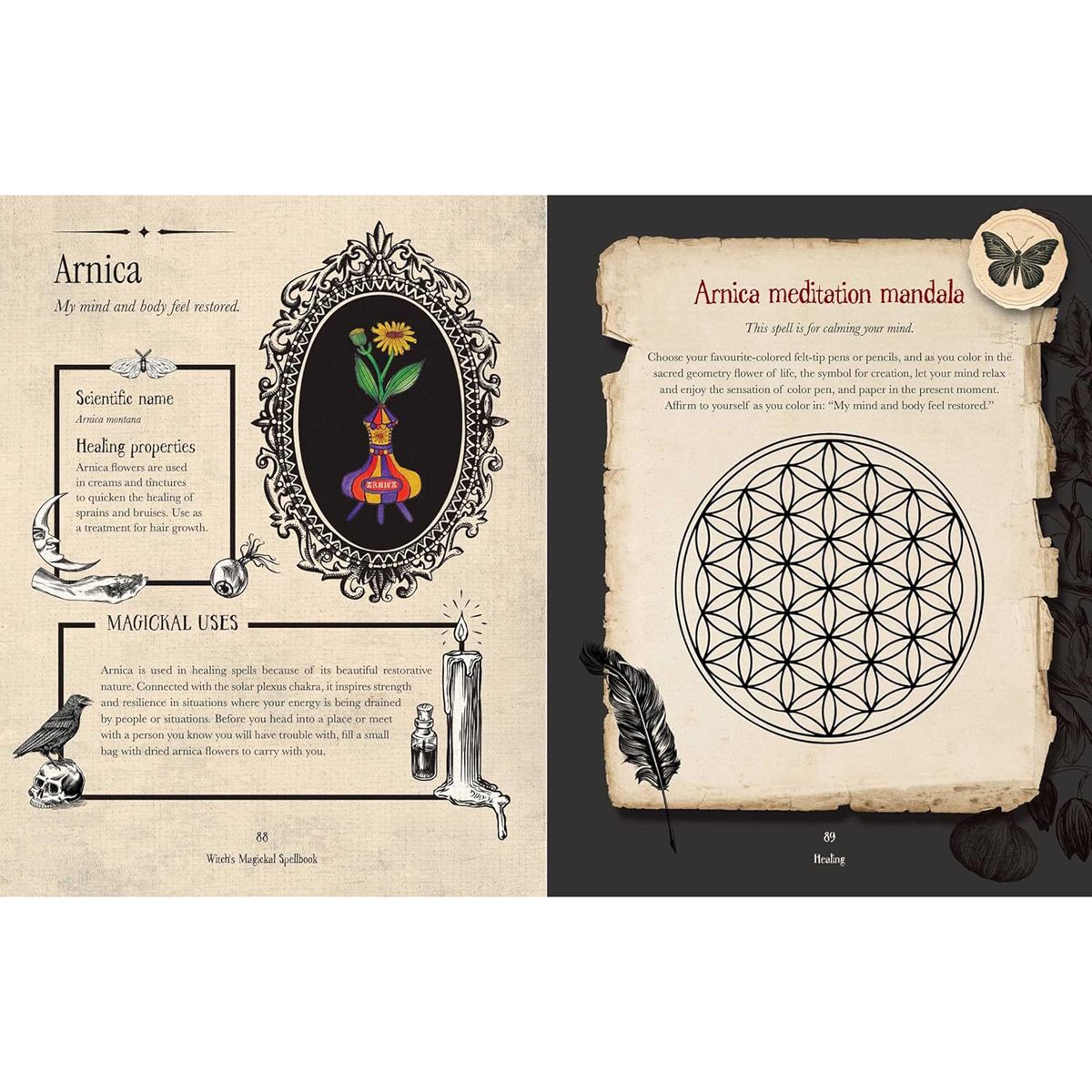 Witch's Magickal Spellbook by Priestess Moon
