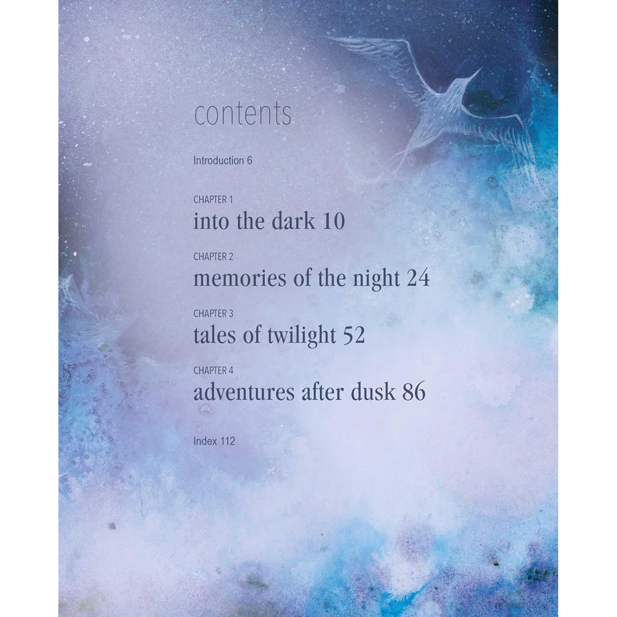 The Magic of the Night Sky by Amy T Won