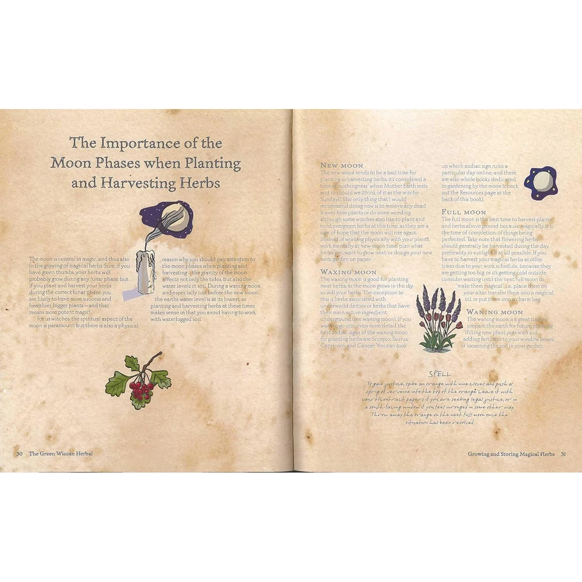 The Green Wiccan Book of Herbs by Silja