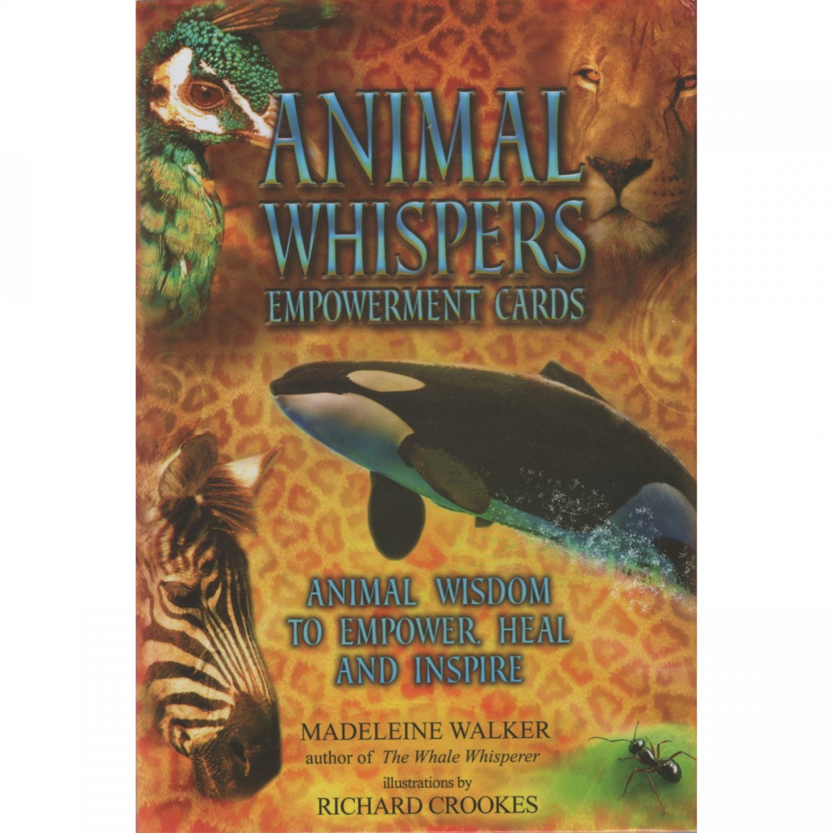 Animal Whispers Empowerment Cards by Madeleine Walker