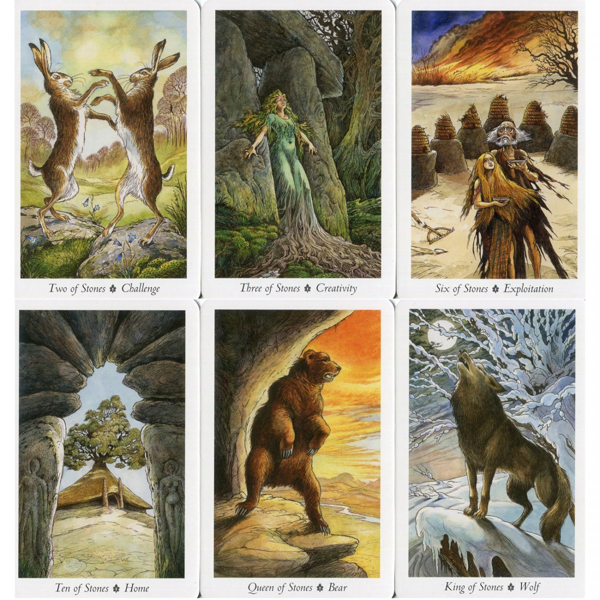 The Wildwood Tarot (Cards & Book Set) by Mark Ryan and John Matthews 