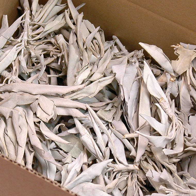 1 lb box of White Sage Clusters (450 g)