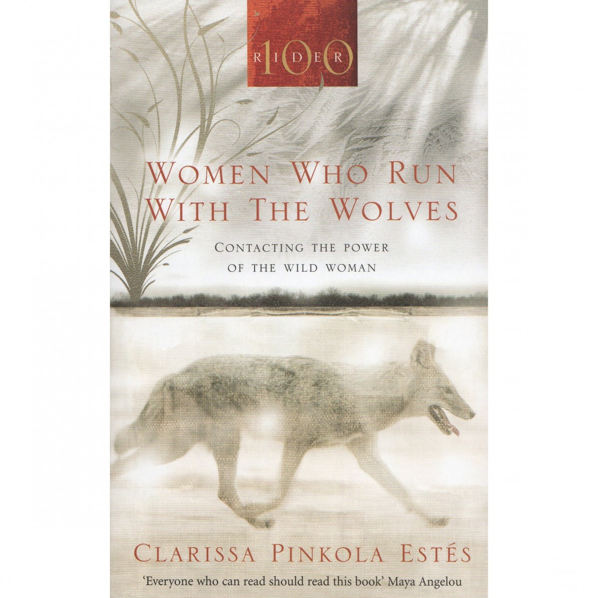 Women Who Run with The Wolves by Clarissa Pinkola Estes