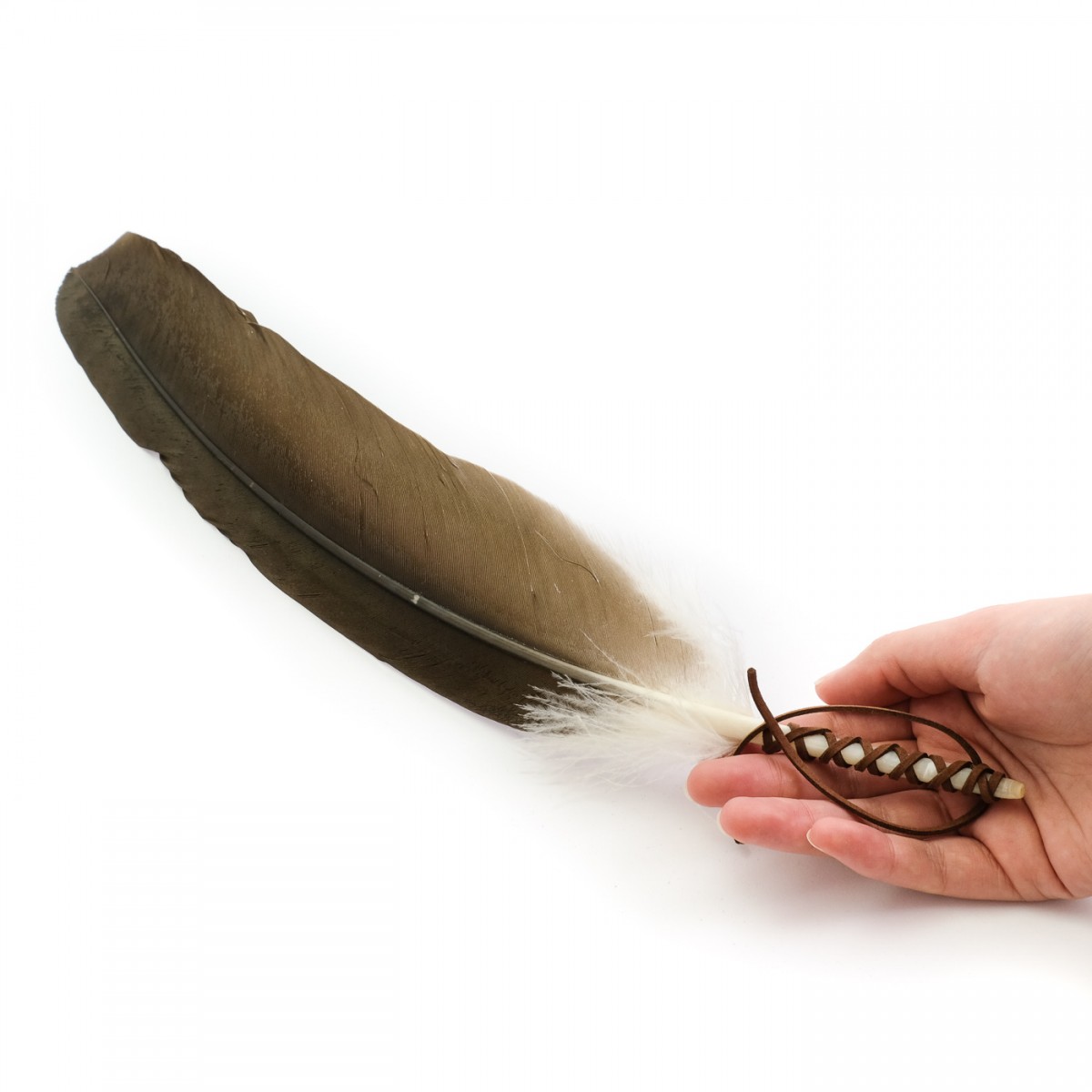 Cathartes Aura Feather Fan