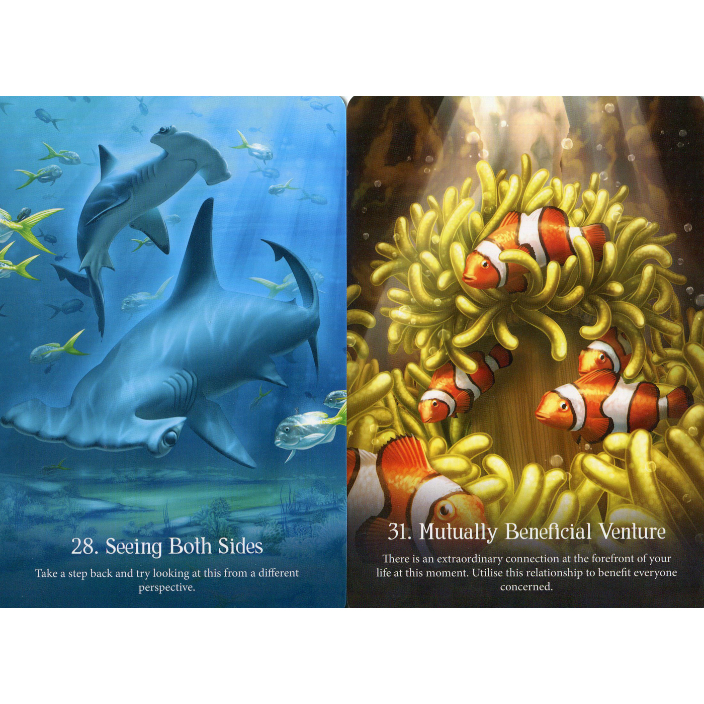 Whispers of the Ocean Oracle by Angela Hartfield