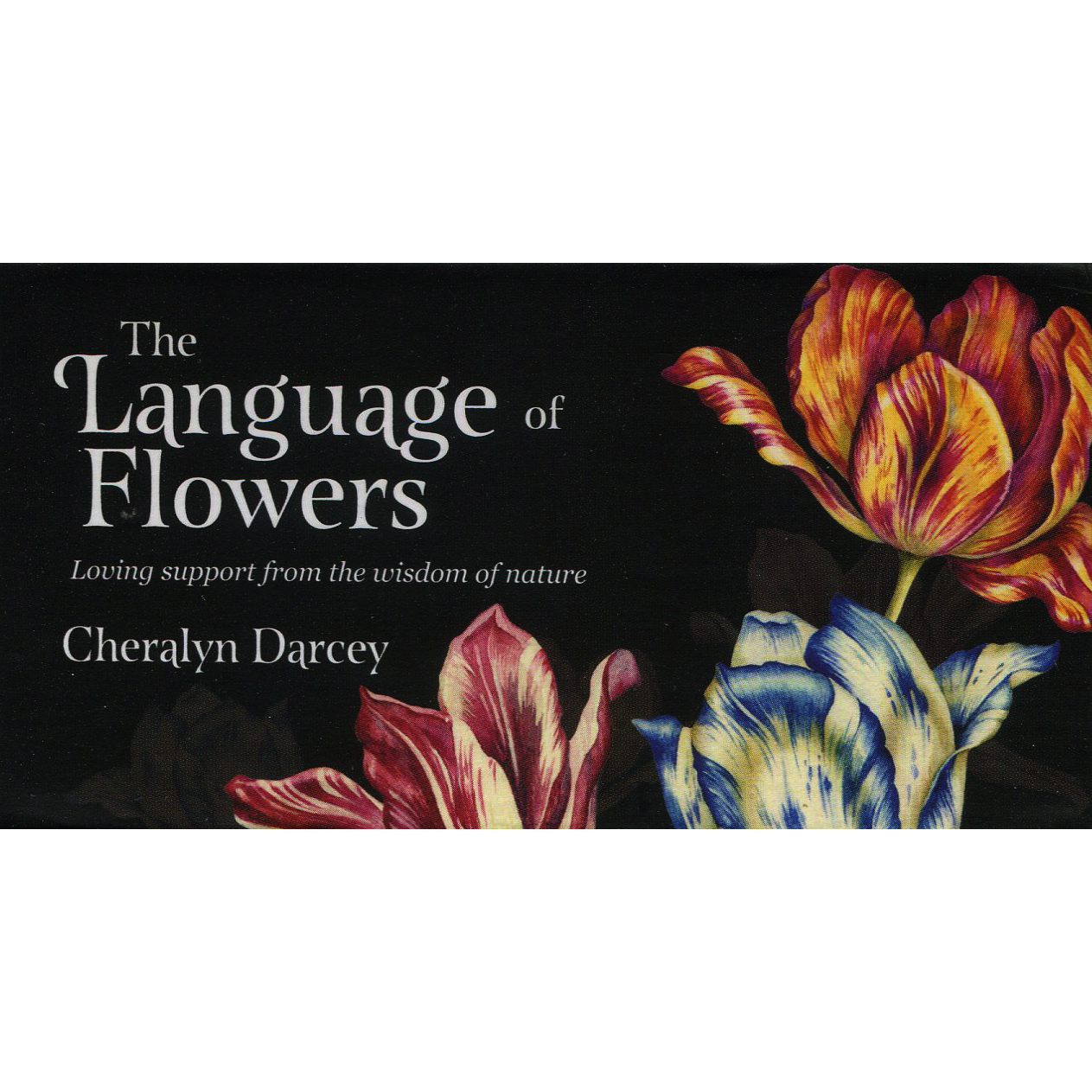 The Language of Flowers Mini Cards by Cheralyn Darcey