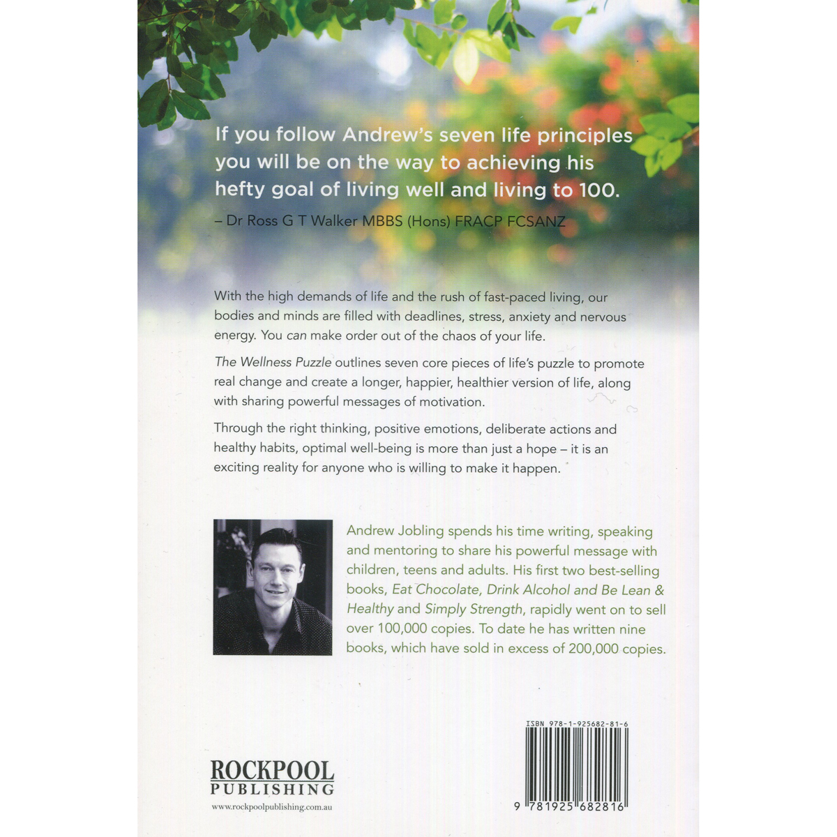 The Wellness Puzzle by Andrew Jobling