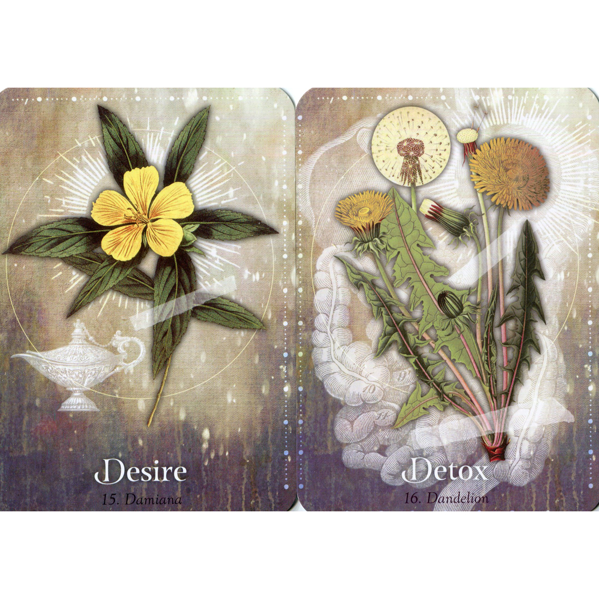 Magickal Herb Oracle by Cheralyn Darcey