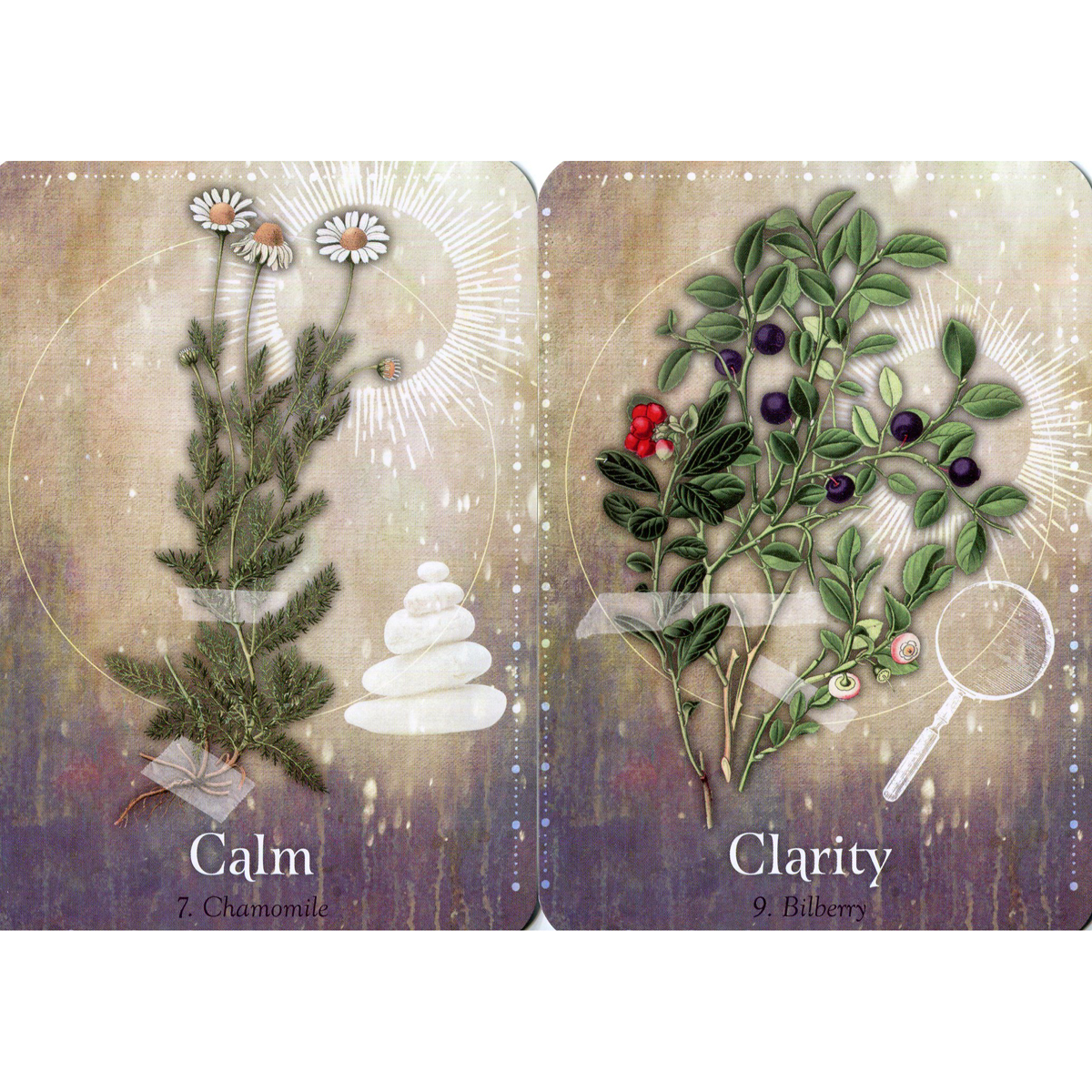 Magickal Herb Oracle by Cheralyn Darcey