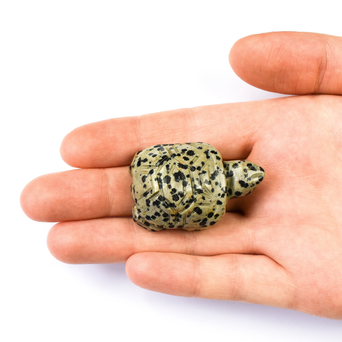 Dalmation Jasper Crystal Turtle