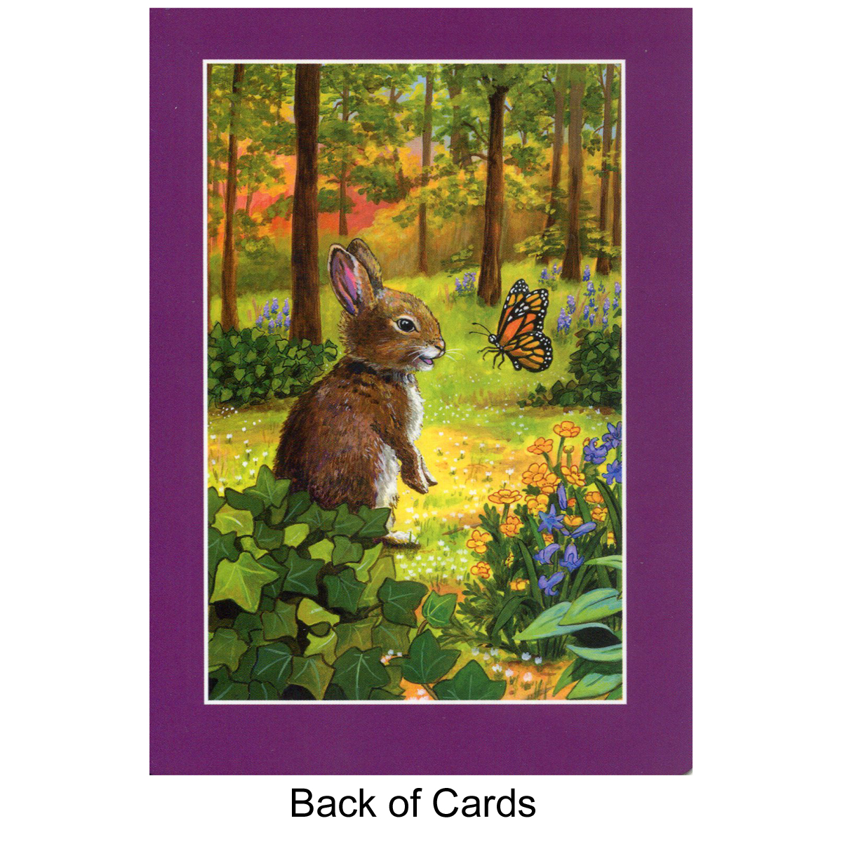 Children's Spirit Animal Cards by Dr. Steven Farmer