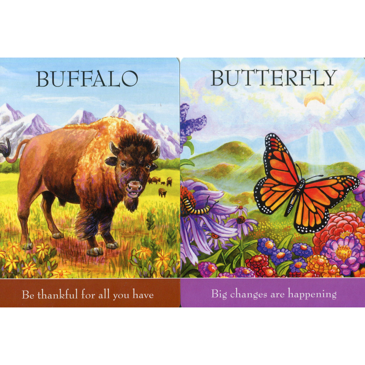 Children's Spirit Animal Cards by Dr. Steven Farmer