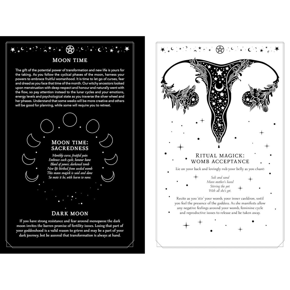 2026 Witch's Diary by Flavia Kate Peters (Northern Hemisphere)