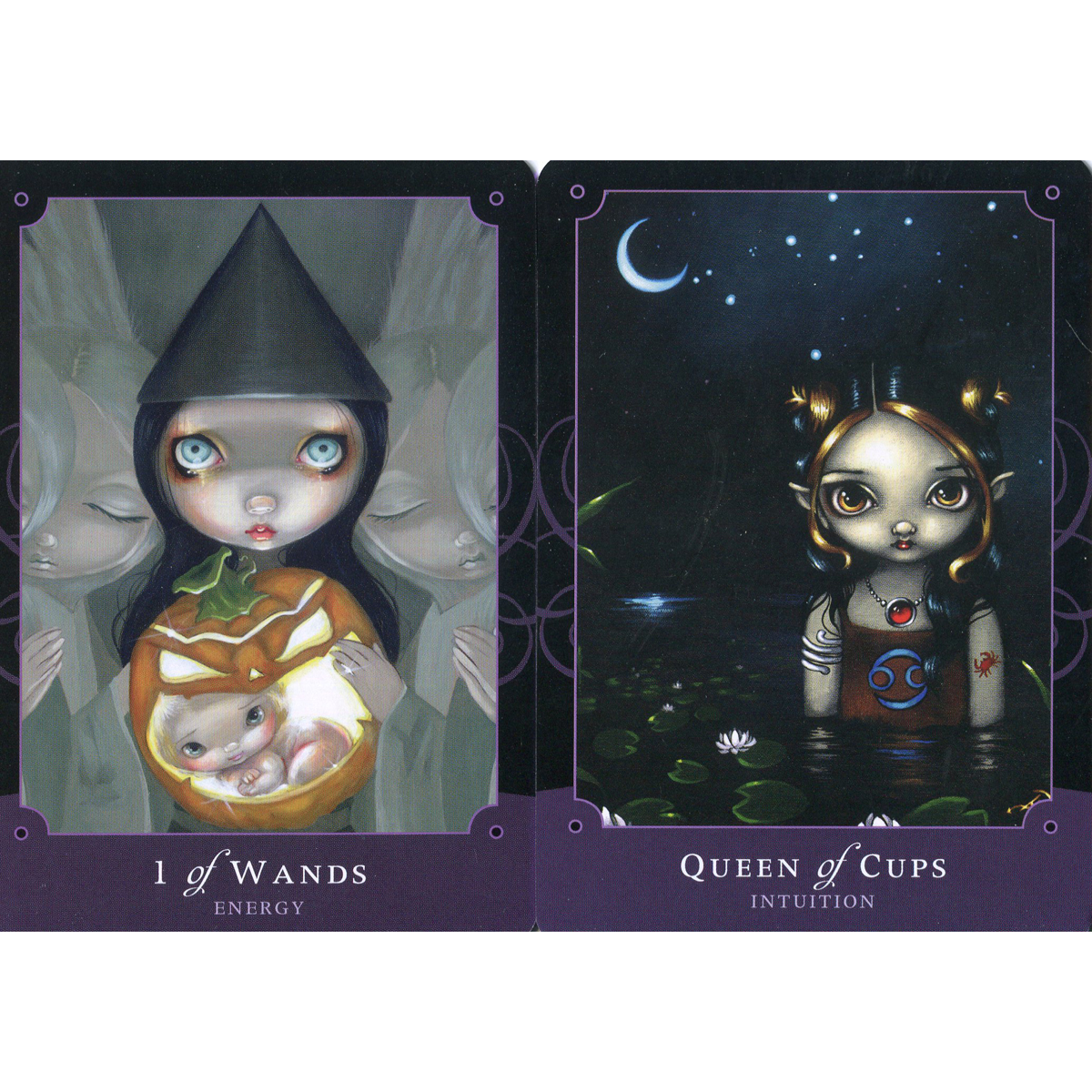 Beautiful Creatures Tarot by J R Rivera