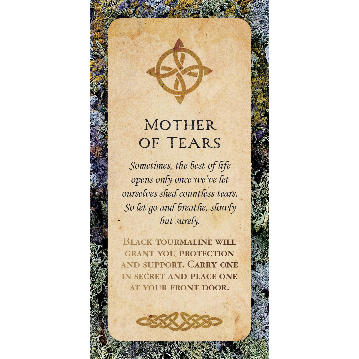 Druid Wisdom Mini Cards by Andres Engracia