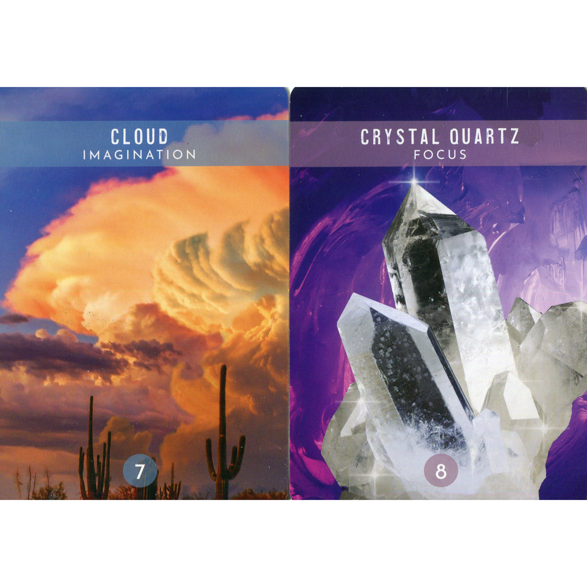 Messages from the Spirits of Nature Oracle by Steven D. Farmer