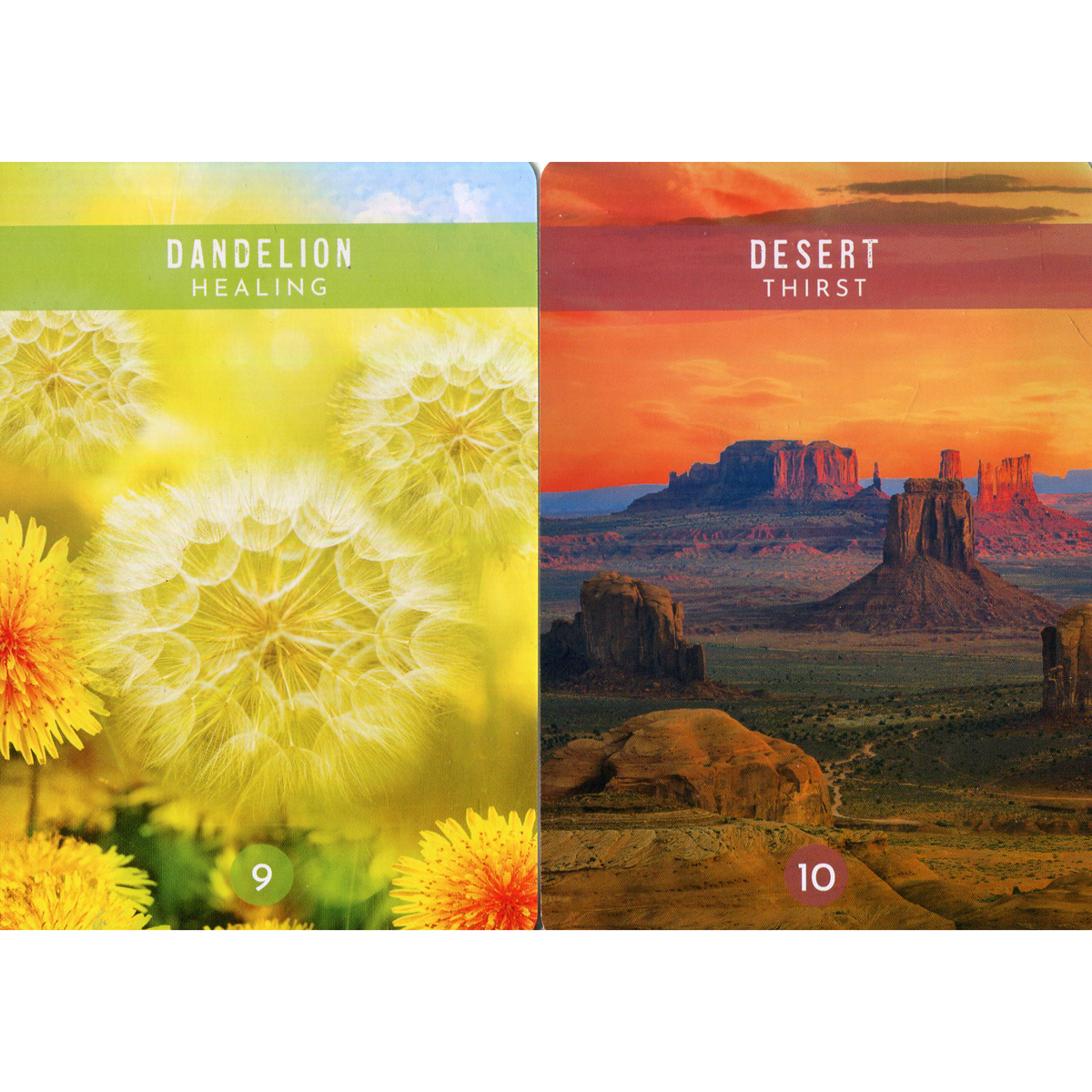 Messages from the Spirits of Nature Oracle by Steven D. Farmer