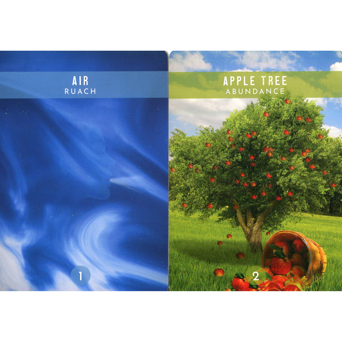 Messages from the Spirits of Nature Oracle by Steven D. Farmer