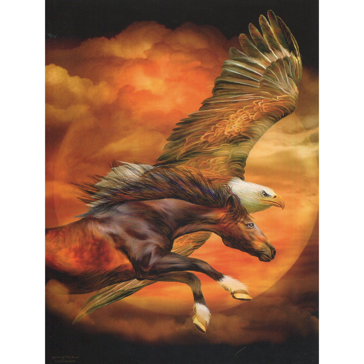 Spirits of the Wind Greeting Card (Birthday)