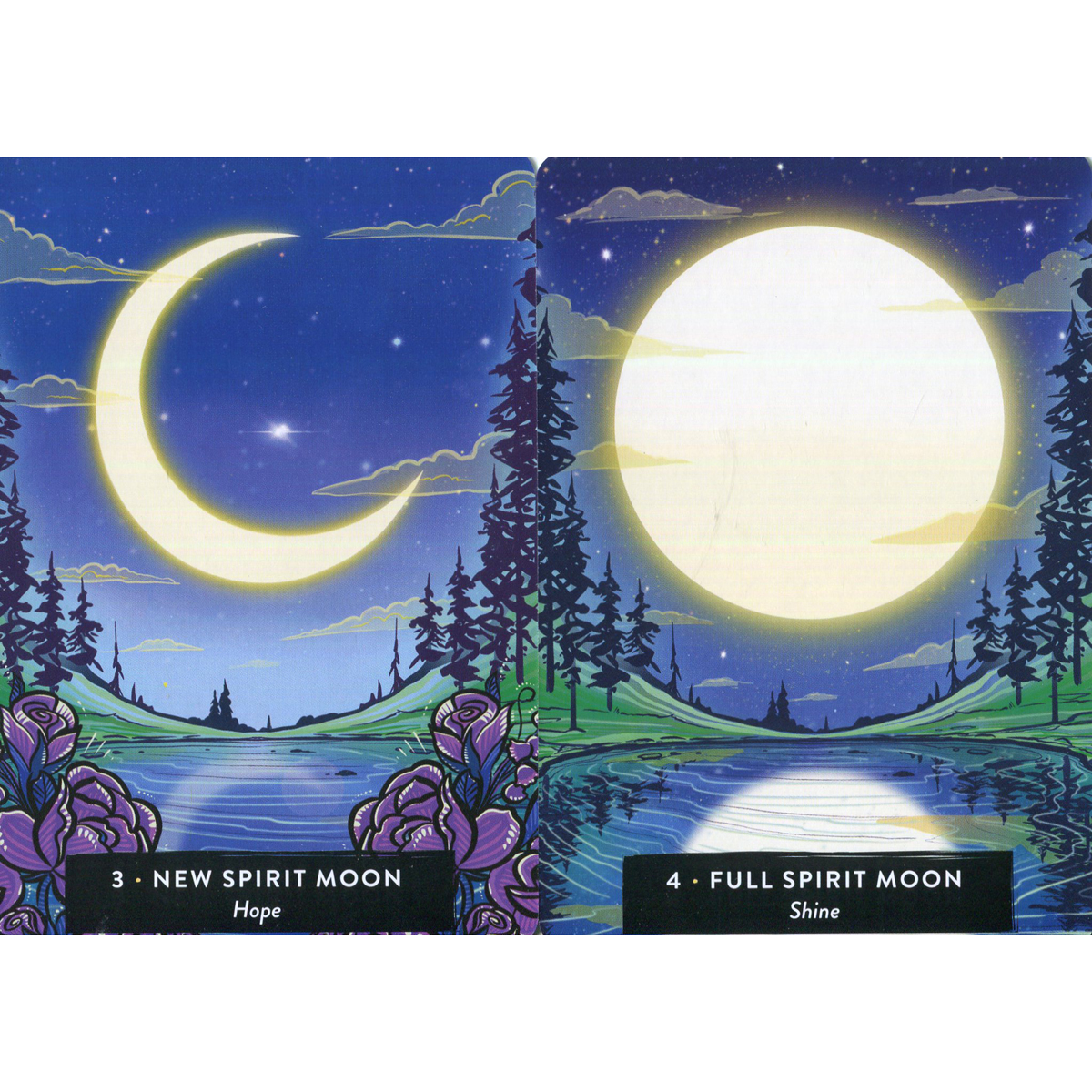 The Sacred Medicine Oracle by Asha Frost