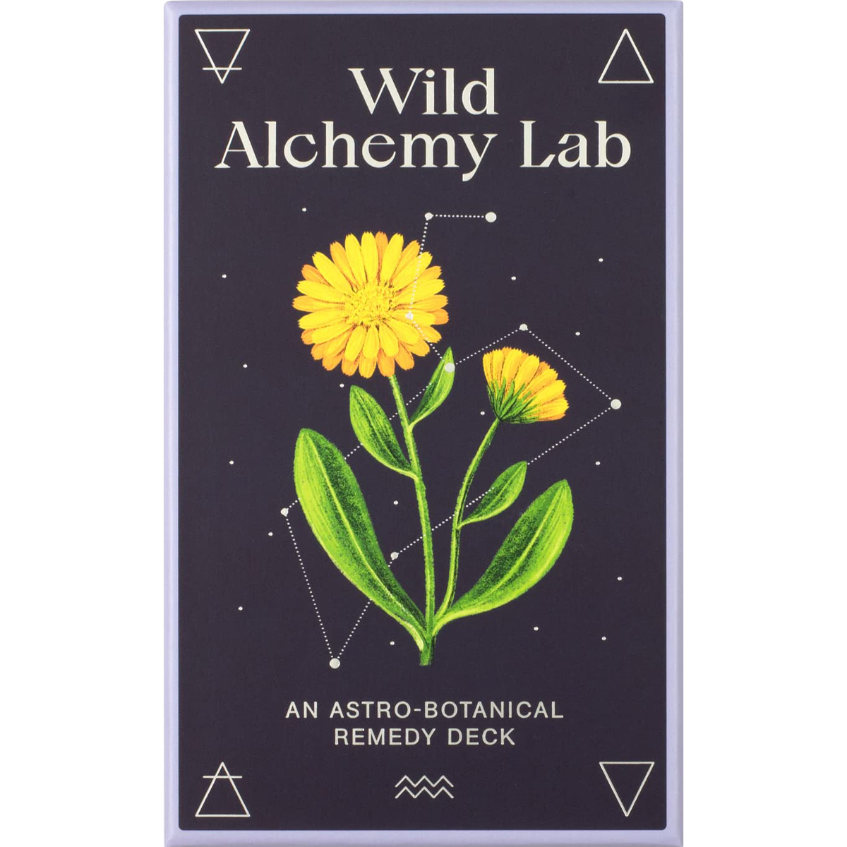 Wild Alchemy Lab Oracle Deck by Jemma Foster