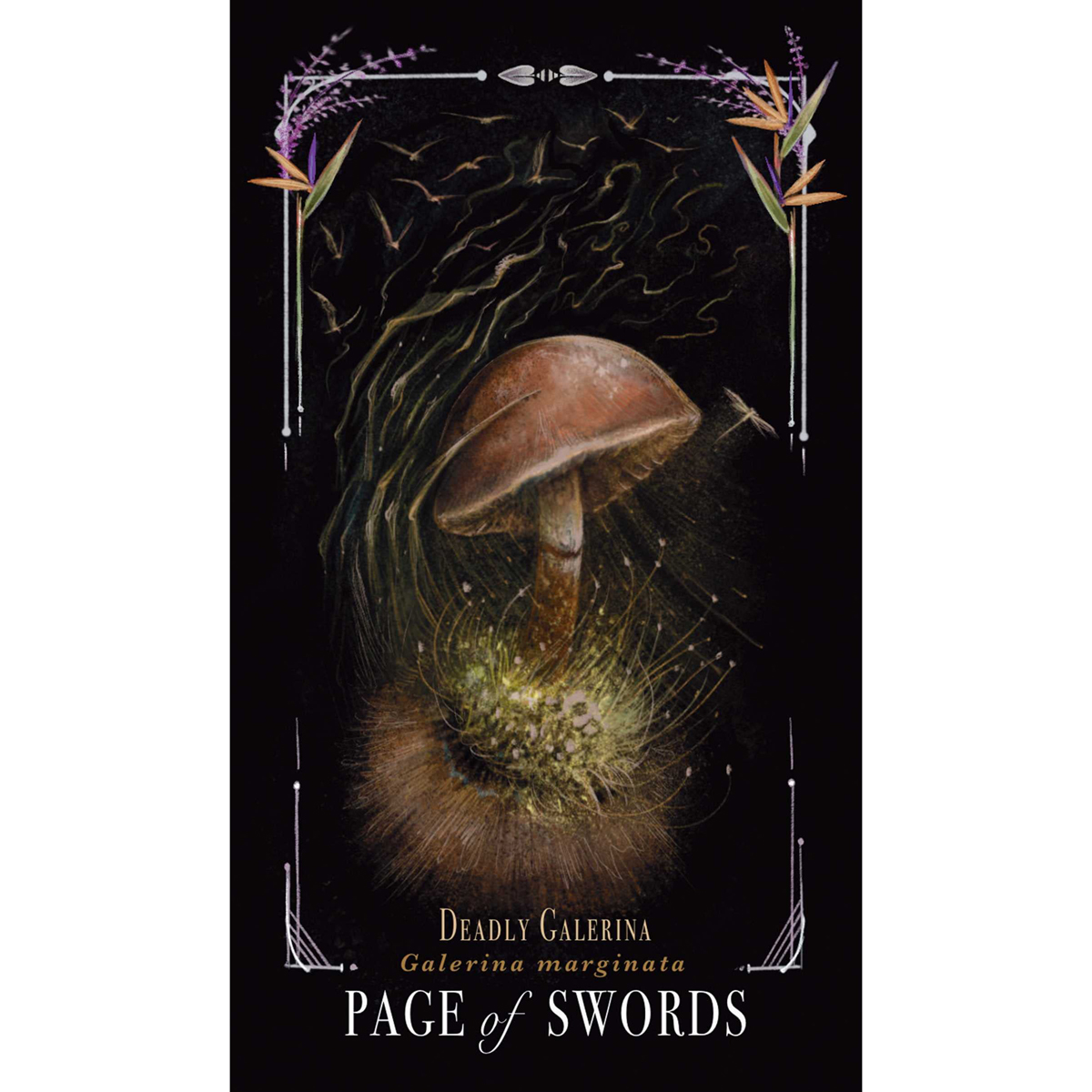 Midnight Magic Tarot by Sarah Richard