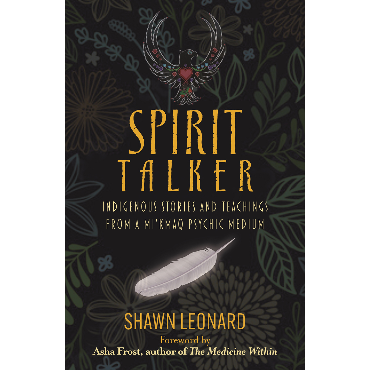 Spirit Talker by Shawn Leonard
