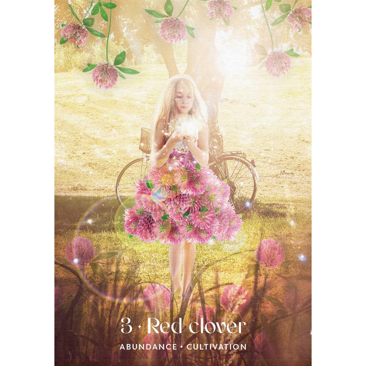 Midnight Sun Oracle by Selena Moon