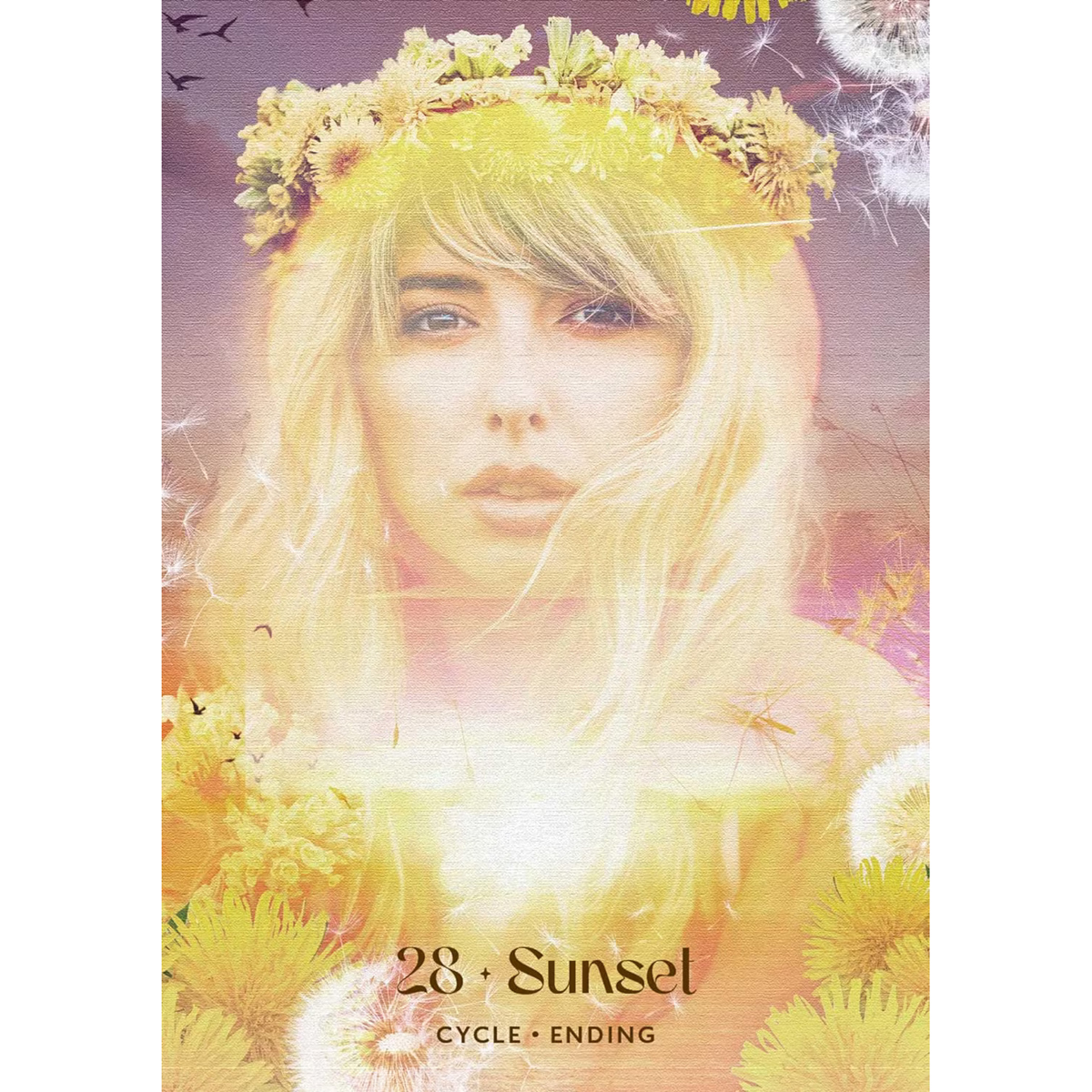 Midnight Sun Oracle by Selena Moon