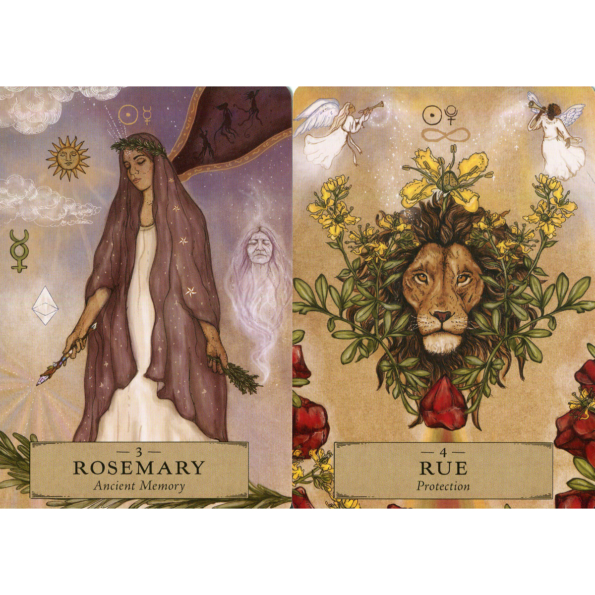 The Herbal Astrology Oracle (Pocket Size) by Adriana Ayales